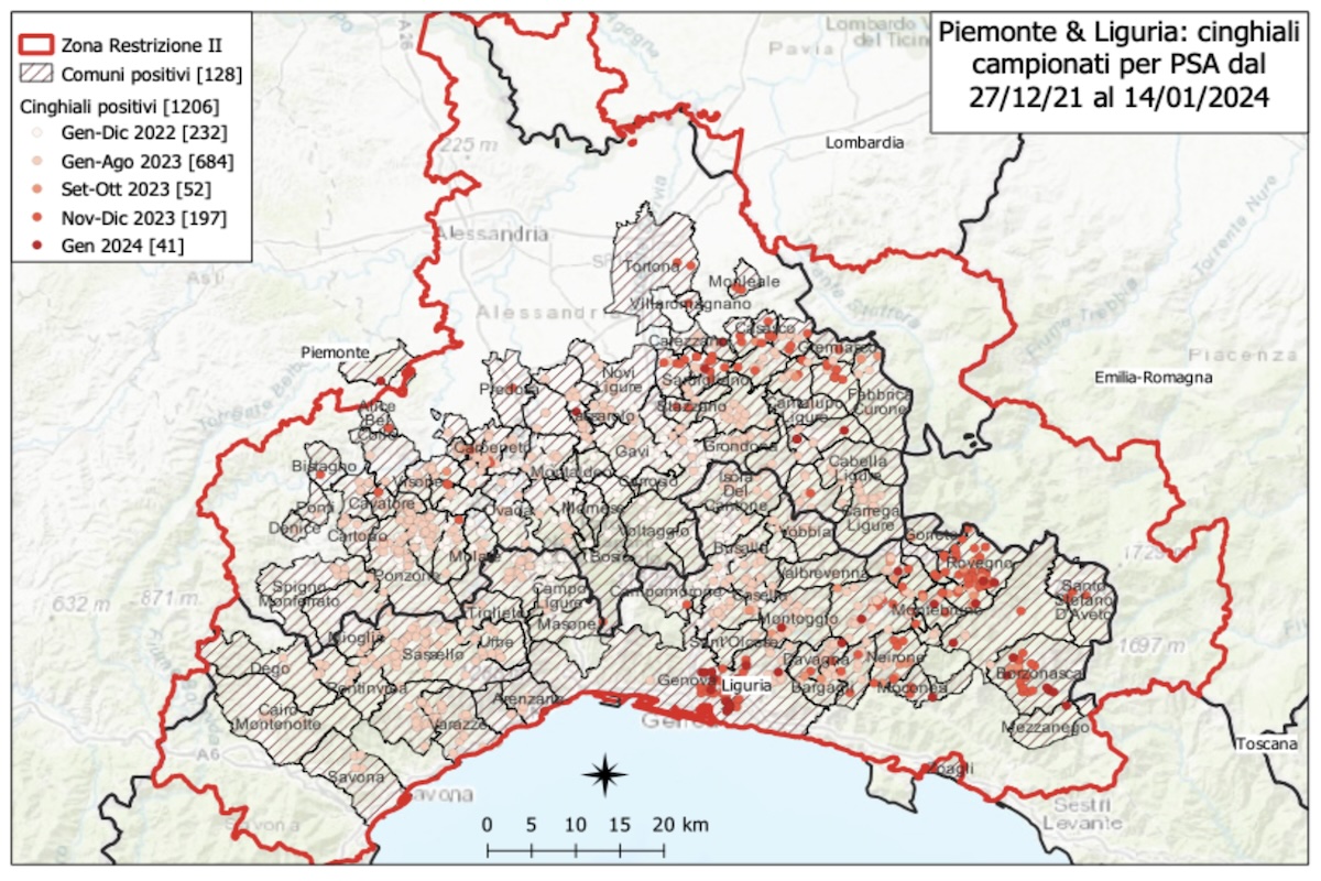 I focolai di peste suina africana in Piemonte e Liguria al 14 gennaio 2024
